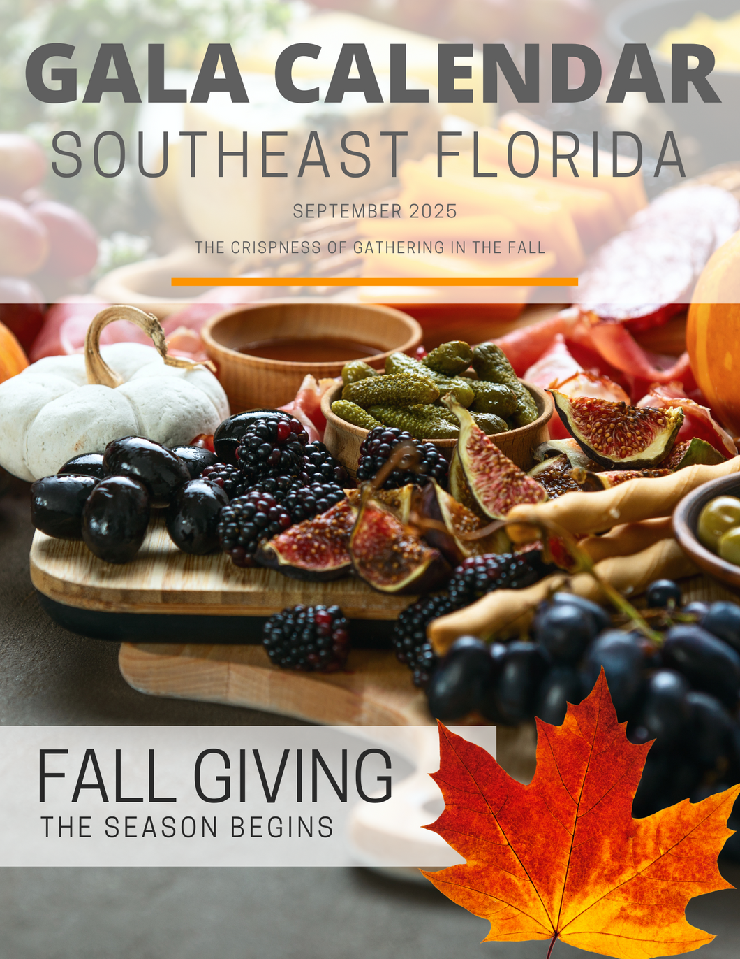 GALA CALENDAR SOUTHEAST FLORIDA / GREATER MIAMI Annual Subscription